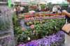 dsc_0676_small.jpg
