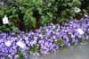dsc_0678_small.jpg