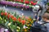 dsc_0680_small.jpg
