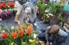 dsc_0681_small.jpg