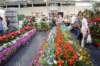 dsc_0682_small.jpg