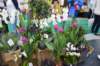 dsc_0684_small.jpg