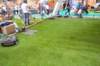 dsc_0690_small.jpg