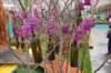 dsc_0693_small.jpg