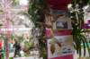 dsc_0697_small.jpg