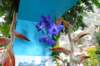dsc_0698_small.jpg