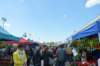 dsc_0703_small.jpg