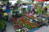 dsc_0704_small.jpg