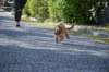 dsc_0592_small.jpg