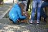 dsc_0593_small.jpg