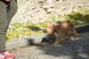 dsc_0595_small.jpg