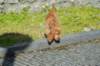 dsc_0596_small.jpg