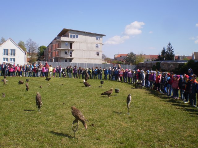 p4171135.jpg