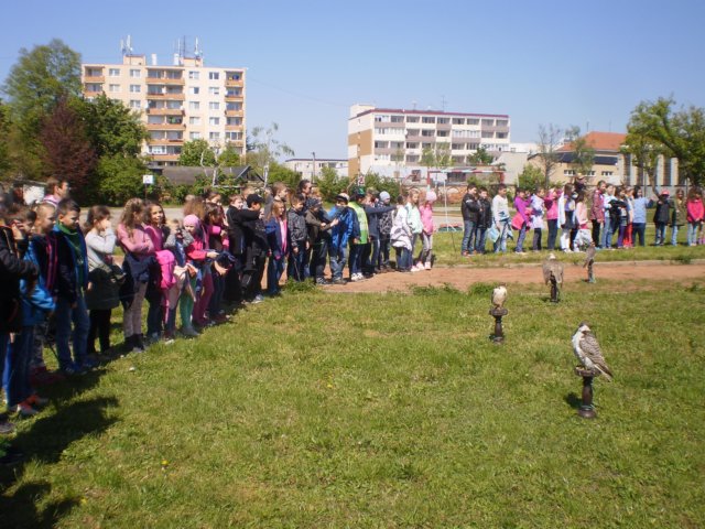 p4171137.jpg