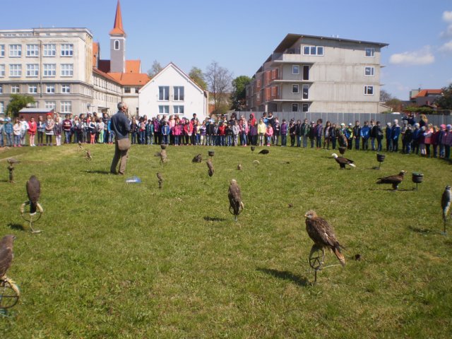 p4171140.jpg