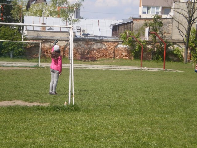 p4171161.jpg