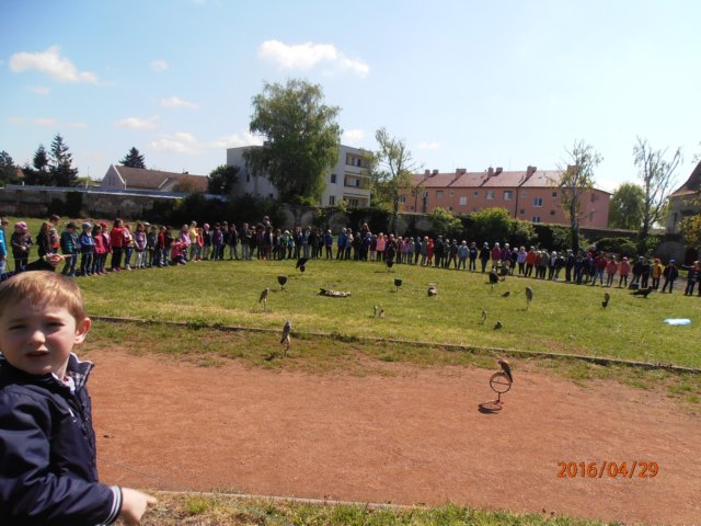 p4290156.jpg