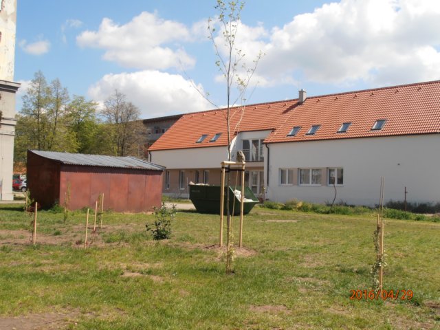 p4290210.jpg