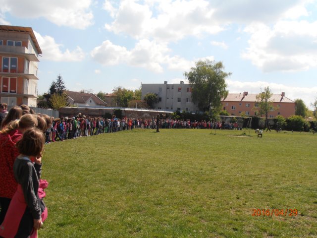 p4290215.jpg