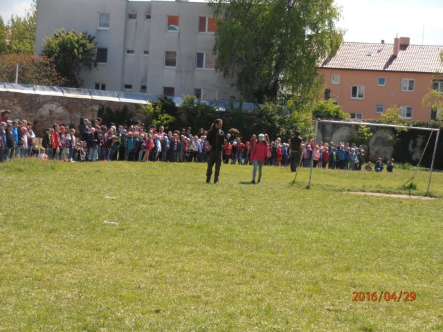 p4290221.jpg