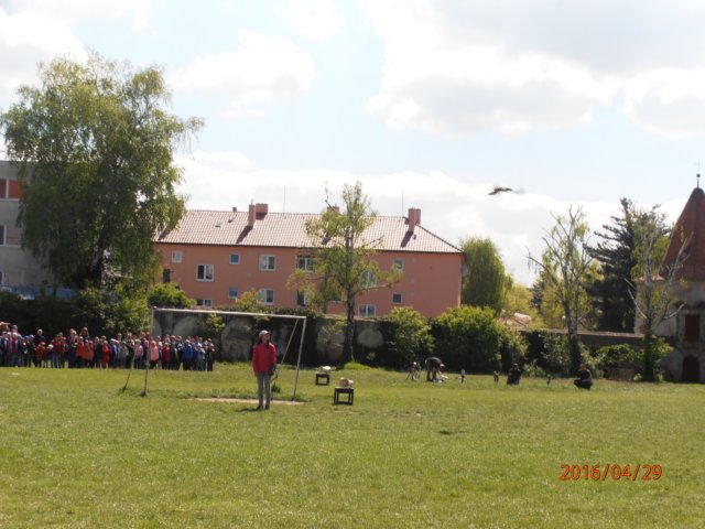 p4290228.jpg