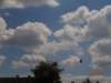 p4290230_small.jpg