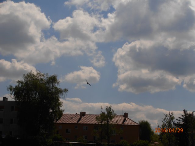 p4290231.jpg