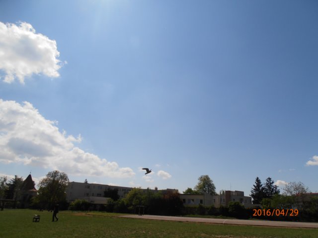 p4290250.jpg