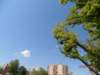 p4290253_small.jpg