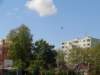 p4290257_small.jpg