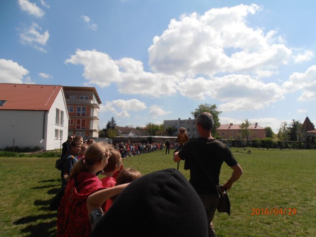 p4290262.jpg