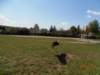 p4290263_small.jpg