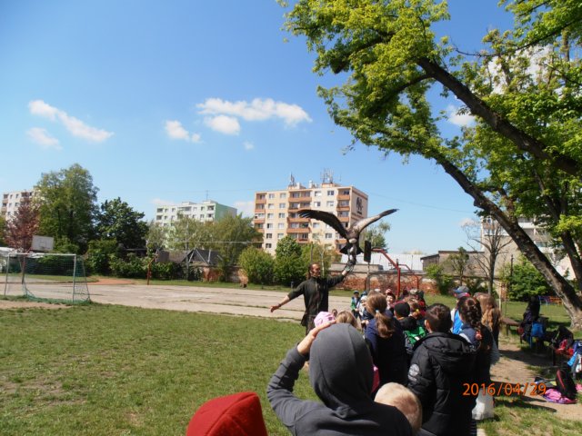p4290264.jpg