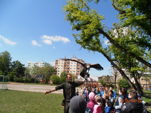 p4290265.jpg