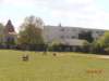 p4290271_small.jpg