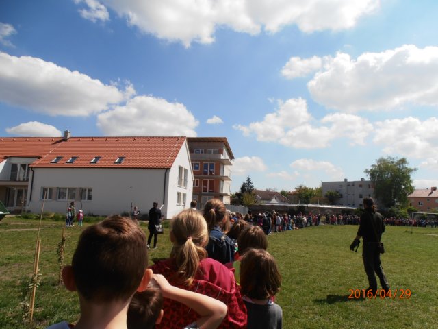 p4290272.jpg