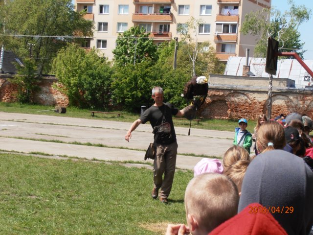 p4290285.jpg